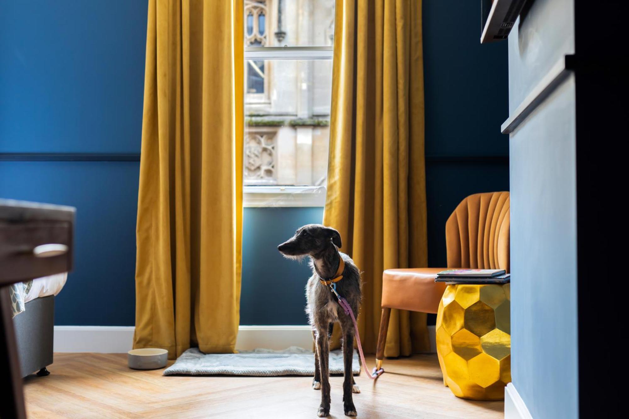 Hotel Hort'S Townhouse Bristol Zewnętrze zdjęcie